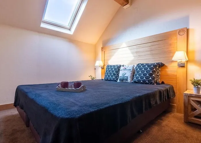 Duplex Centre-ville Avec Piscine Et Wifi - Fr-1-296-395 *