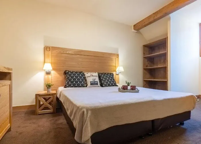 Duplex Centre-ville Avec Piscine Et Wifi - Fr-1-296-395 Apartment Saint-Lary-Soulan